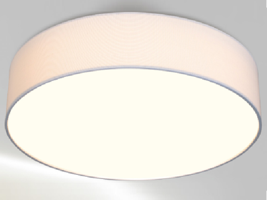 新特丽-吸顶灯-11010010001